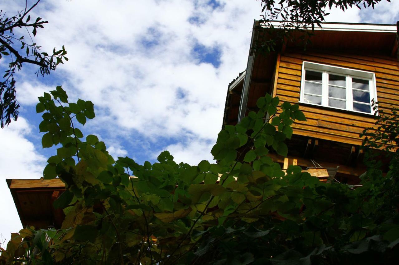 Pajaro Azul Bed and Breakfast San Carlos de Bariloche Eksteriør billede
